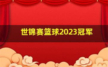 世锦赛篮球2023冠军