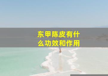 东甲陈皮有什么功效和作用