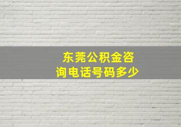 东莞公积金咨询电话号码多少