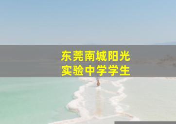 东莞南城阳光实验中学学生