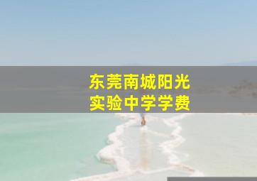 东莞南城阳光实验中学学费