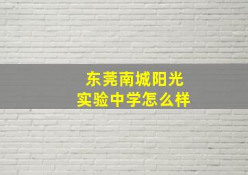 东莞南城阳光实验中学怎么样