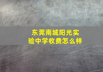 东莞南城阳光实验中学收费怎么样