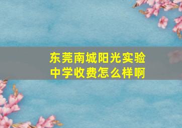 东莞南城阳光实验中学收费怎么样啊