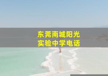 东莞南城阳光实验中学电话