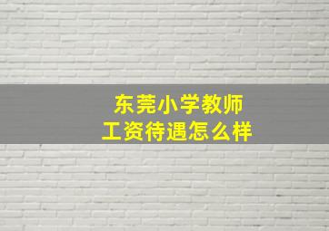 东莞小学教师工资待遇怎么样