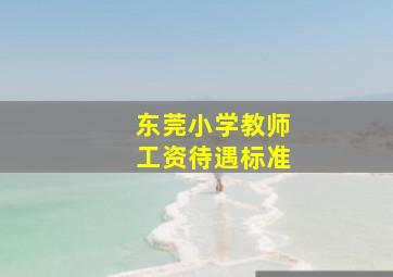 东莞小学教师工资待遇标准