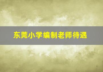 东莞小学编制老师待遇