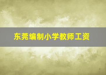 东莞编制小学教师工资