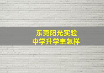 东莞阳光实验中学升学率怎样