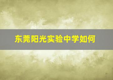 东莞阳光实验中学如何