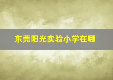 东莞阳光实验小学在哪