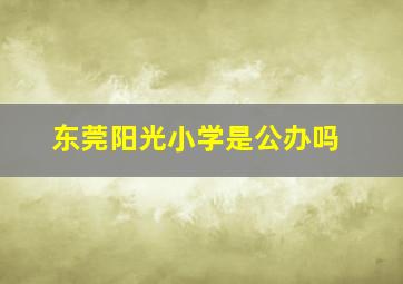 东莞阳光小学是公办吗