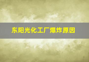 东阳光化工厂爆炸原因