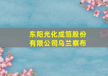 东阳光化成箔股份有限公司乌兰察布