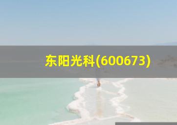 东阳光科(600673)