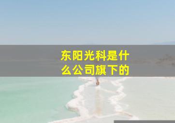 东阳光科是什么公司旗下的