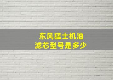 东风猛士机油滤芯型号是多少