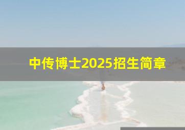 中传博士2025招生简章