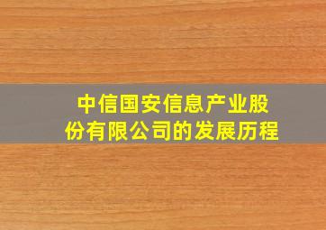 中信国安信息产业股份有限公司的发展历程