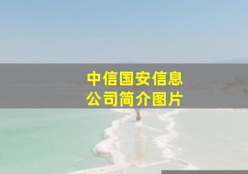 中信国安信息公司简介图片