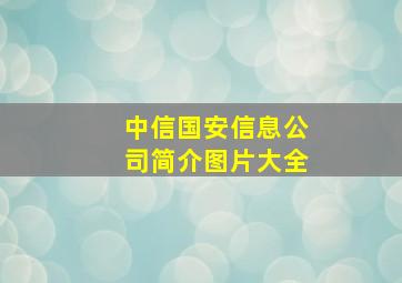 中信国安信息公司简介图片大全