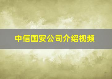 中信国安公司介绍视频