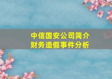 中信国安公司简介财务造假事件分析