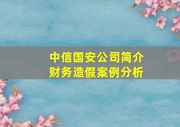 中信国安公司简介财务造假案例分析