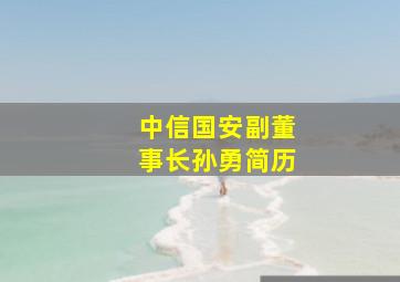 中信国安副董事长孙勇简历