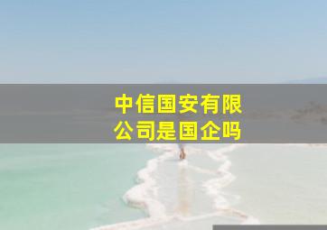 中信国安有限公司是国企吗