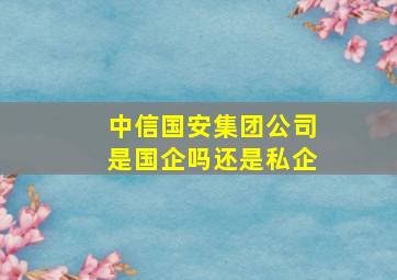 中信国安集团公司是国企吗还是私企