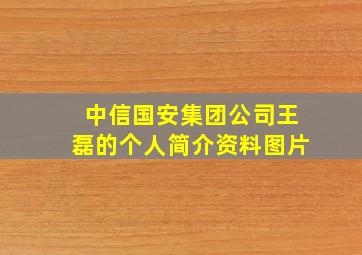 中信国安集团公司王磊的个人简介资料图片