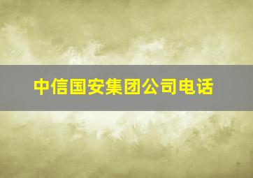 中信国安集团公司电话