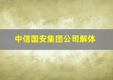 中信国安集团公司解体