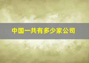 中国一共有多少家公司