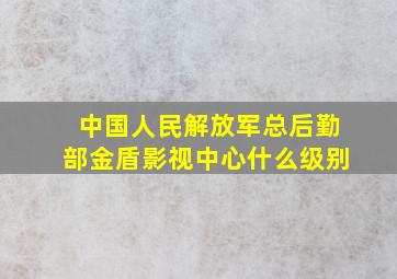 中国人民解放军总后勤部金盾影视中心什么级别