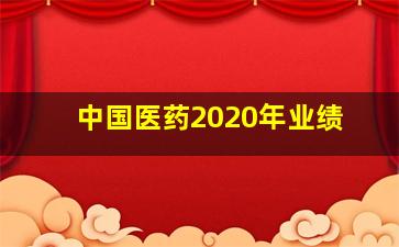 中国医药2020年业绩