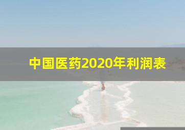 中国医药2020年利润表