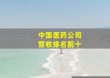 中国医药公司营收排名前十