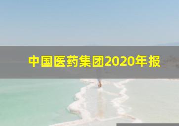 中国医药集团2020年报