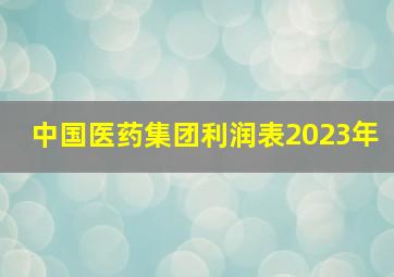 中国医药集团利润表2023年