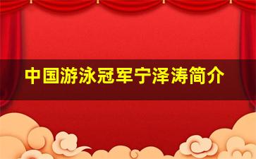 中国游泳冠军宁泽涛简介