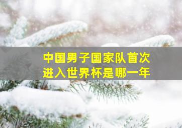 中国男子国家队首次进入世界杯是哪一年