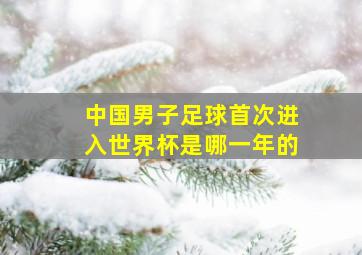 中国男子足球首次进入世界杯是哪一年的