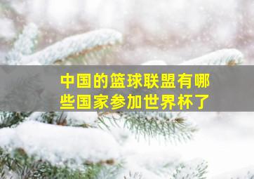 中国的篮球联盟有哪些国家参加世界杯了