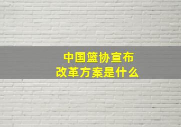 中国篮协宣布改革方案是什么