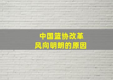 中国篮协改革风向明朗的原因