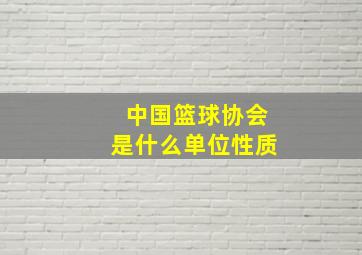 中国篮球协会是什么单位性质