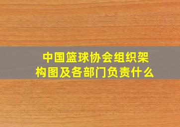 中国篮球协会组织架构图及各部门负责什么